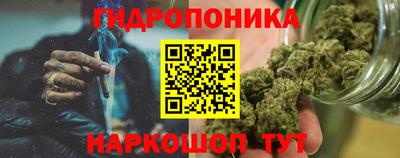прущие грибы Бийск