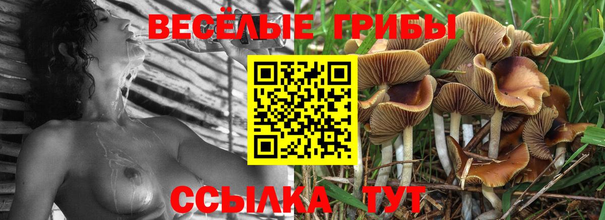 Галлюциногенные грибы мухоморы Клин